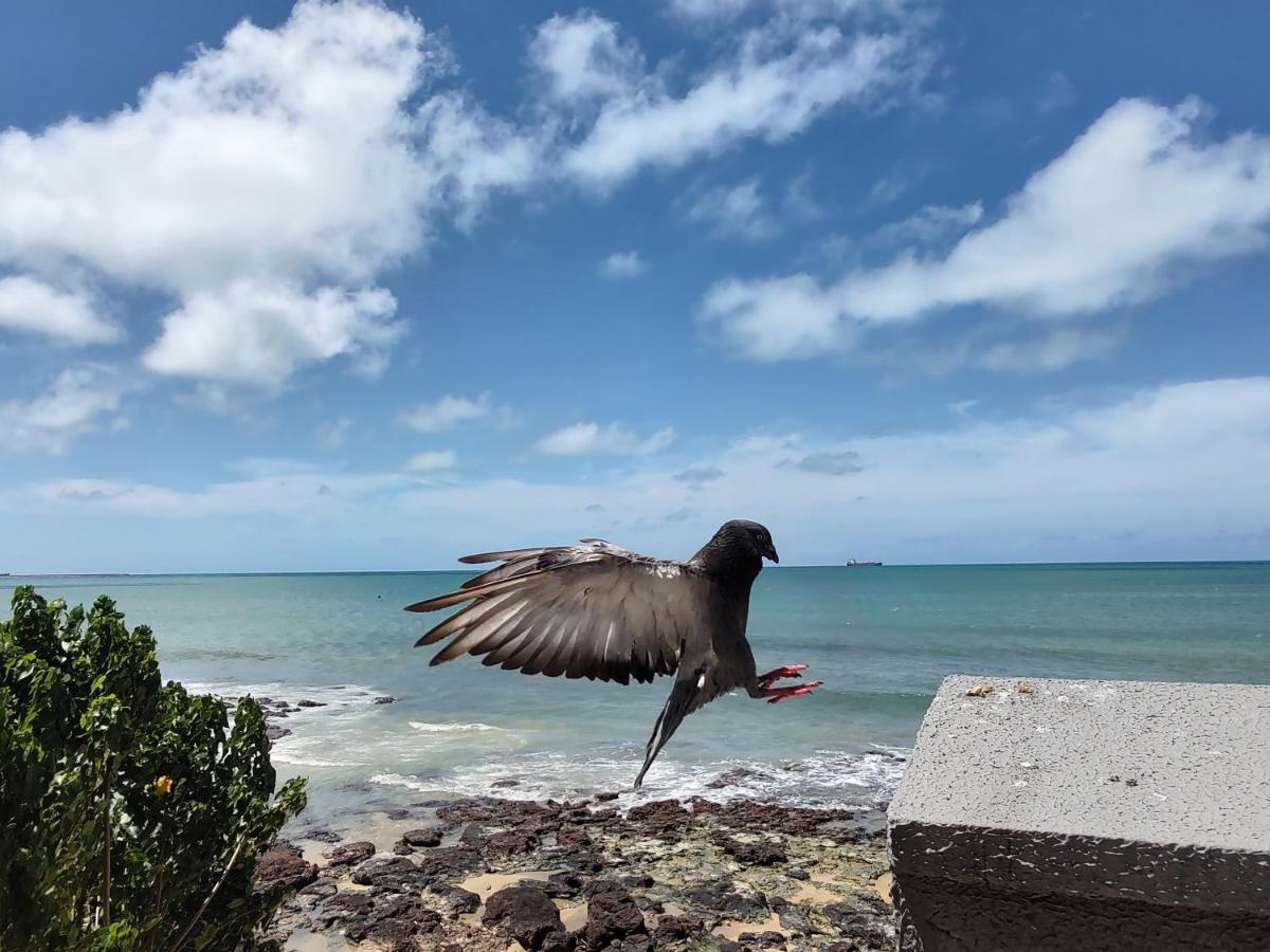 Costeira Flat Vista Mar Beira Mar A Fortaleza (Ceara)